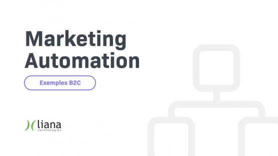 Marketing Automation Examples PDF - B2C