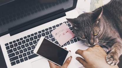 Så hanterar du din marknadsföring under #socialdistancing