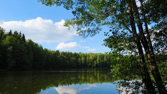 Sjöutsikt